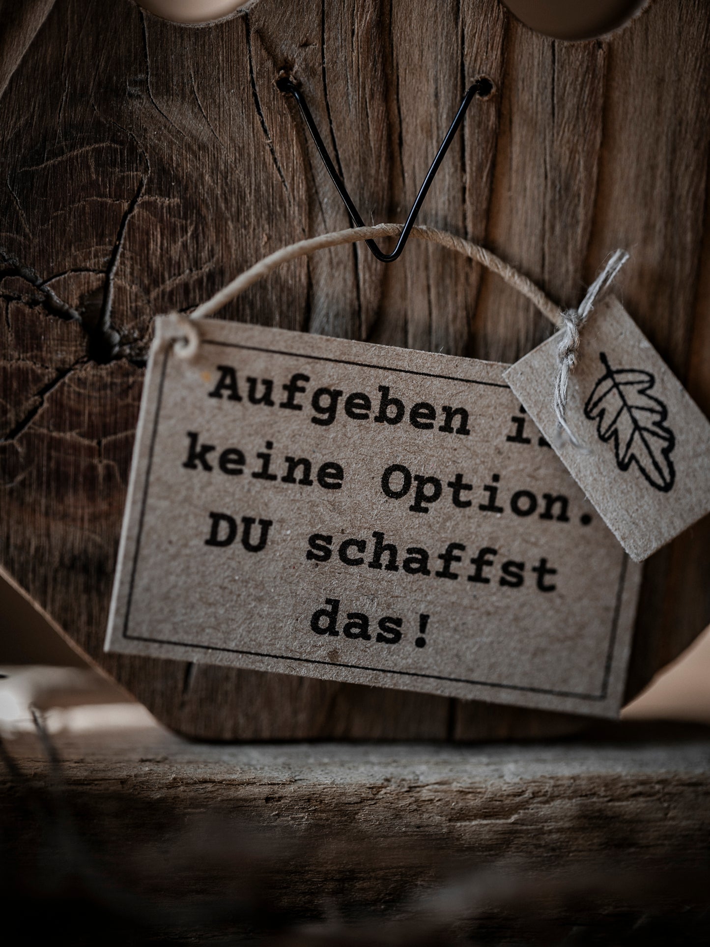 Die kleine Eule