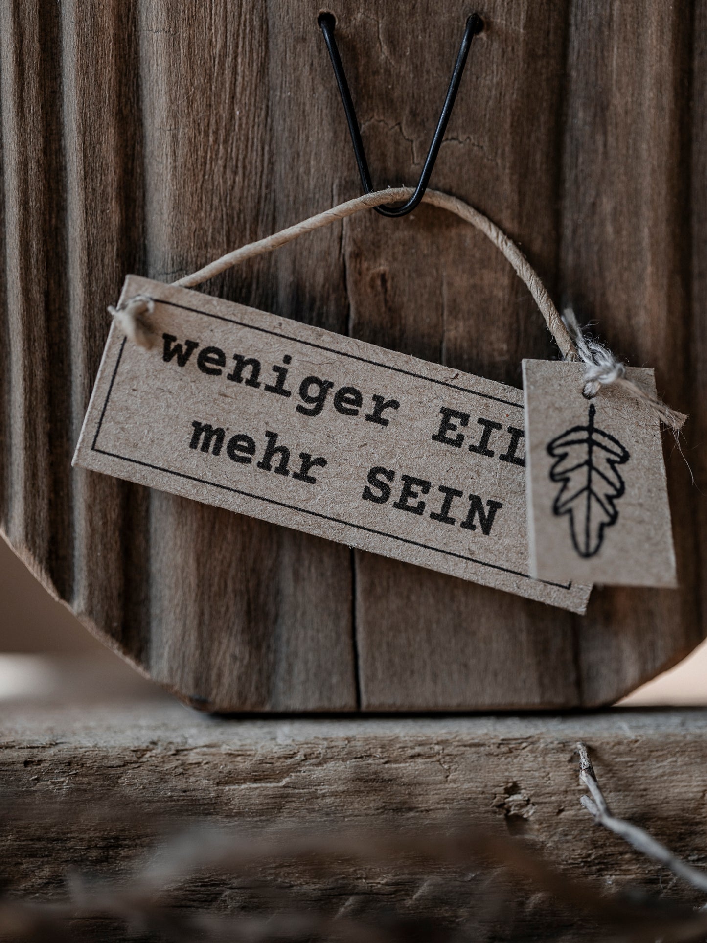 Die kleine Eule