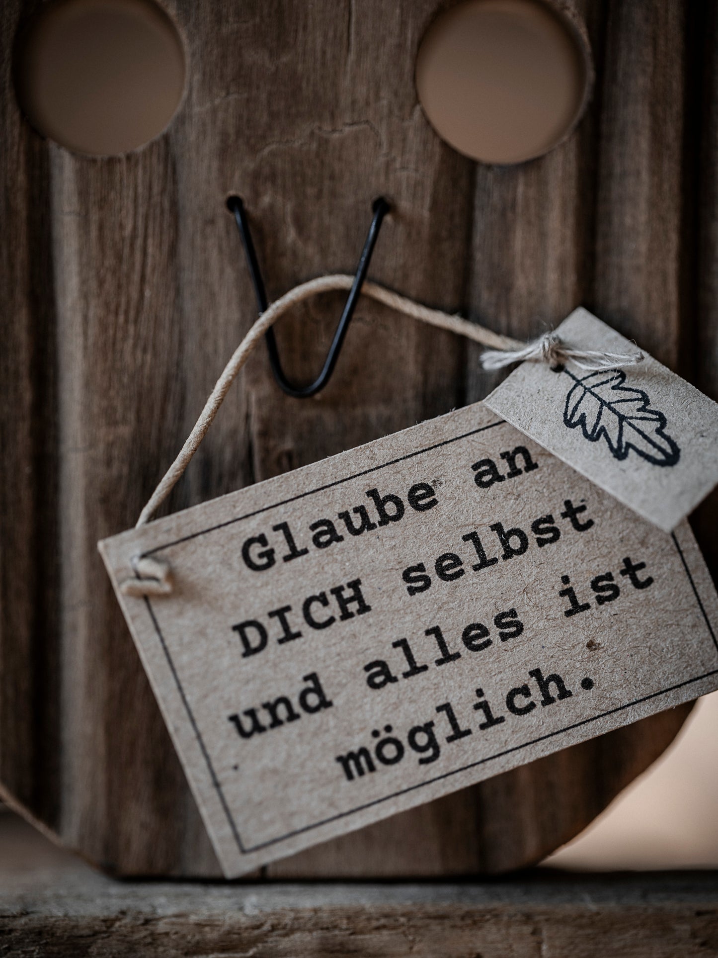 Die kleine Eule