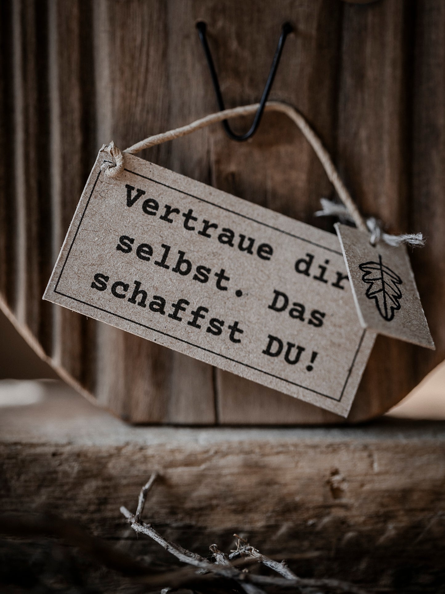Die kleine Eule