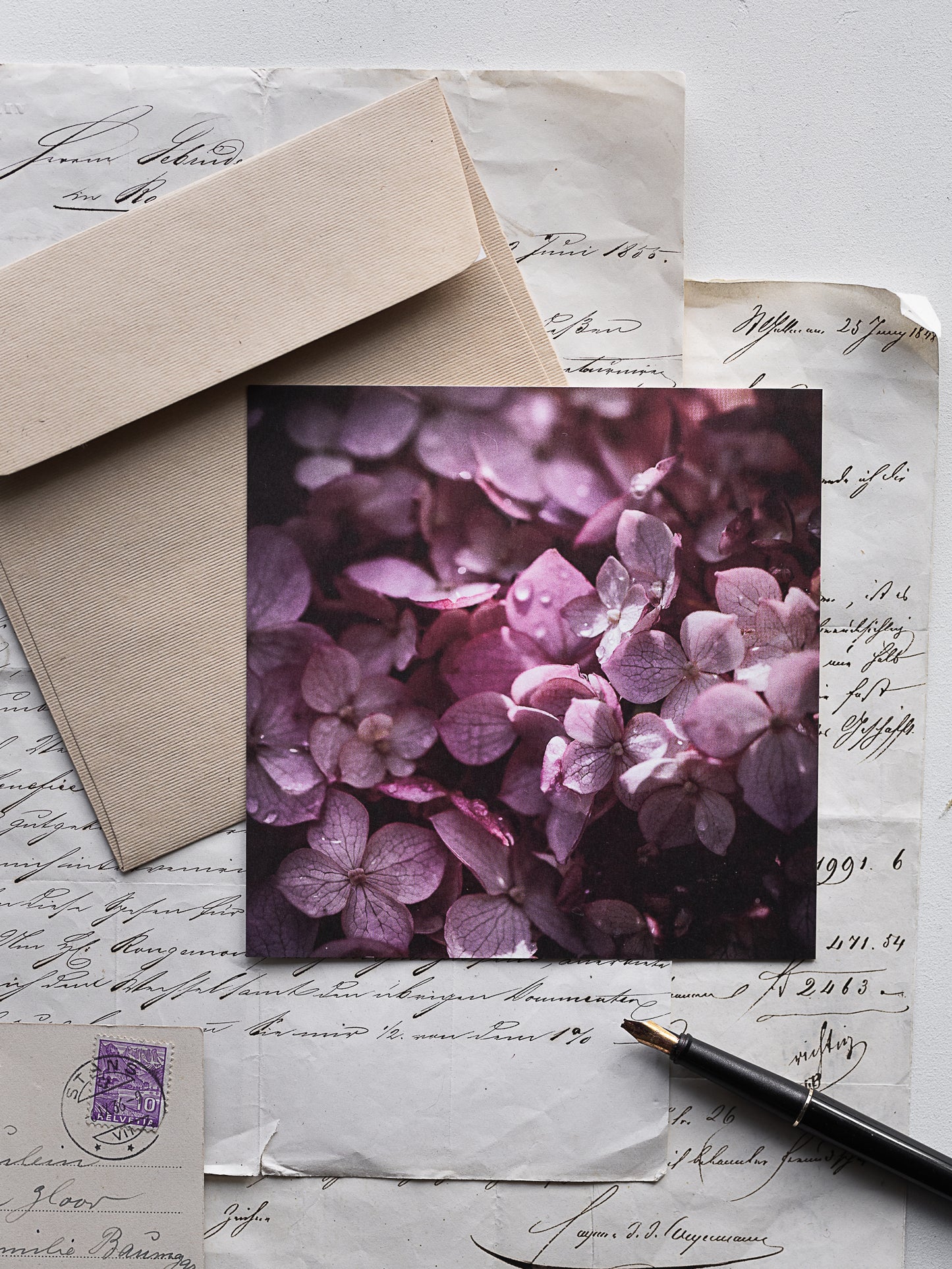 Von edler Art Hortensie