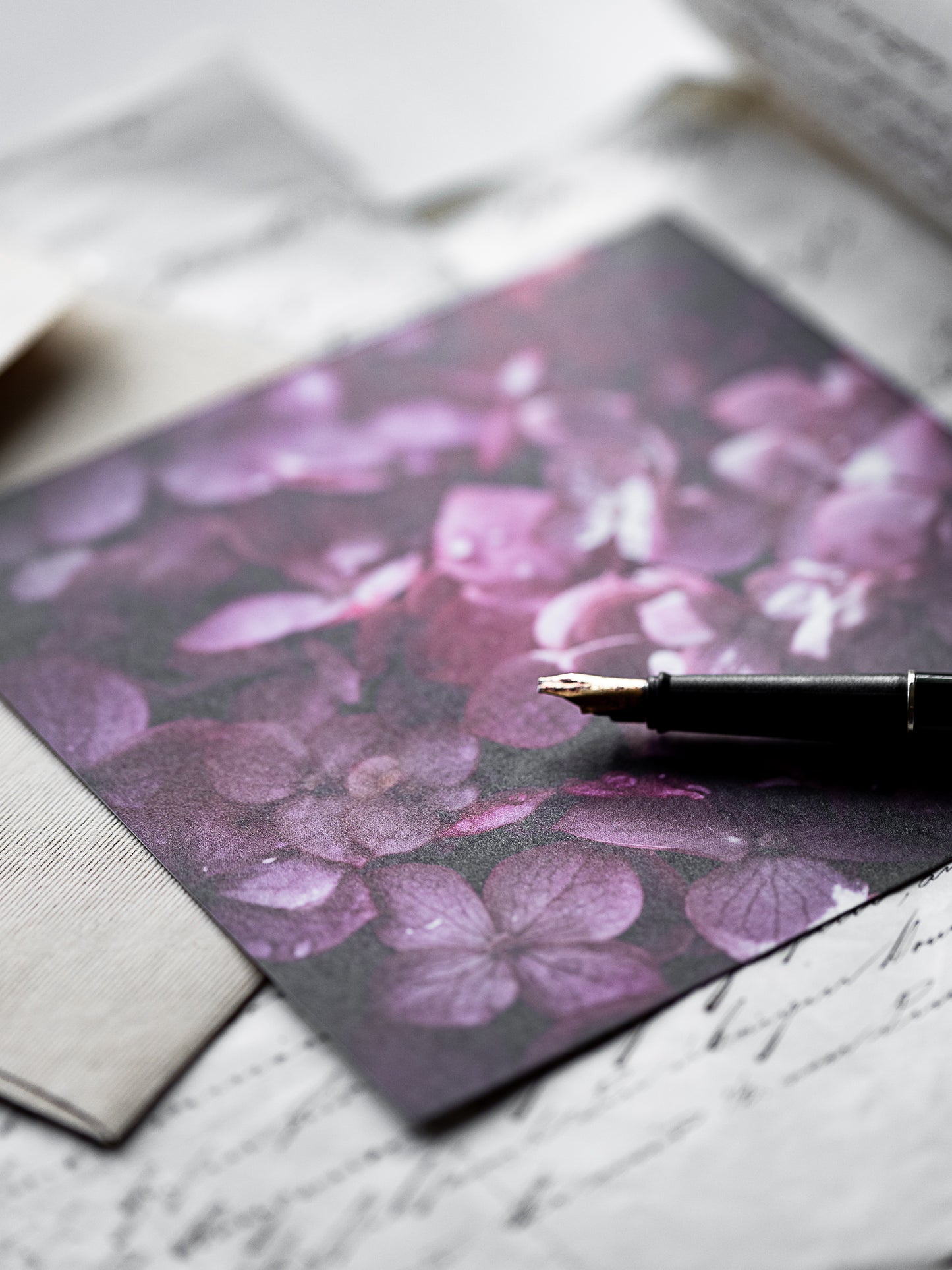 Von edler Art Hortensie