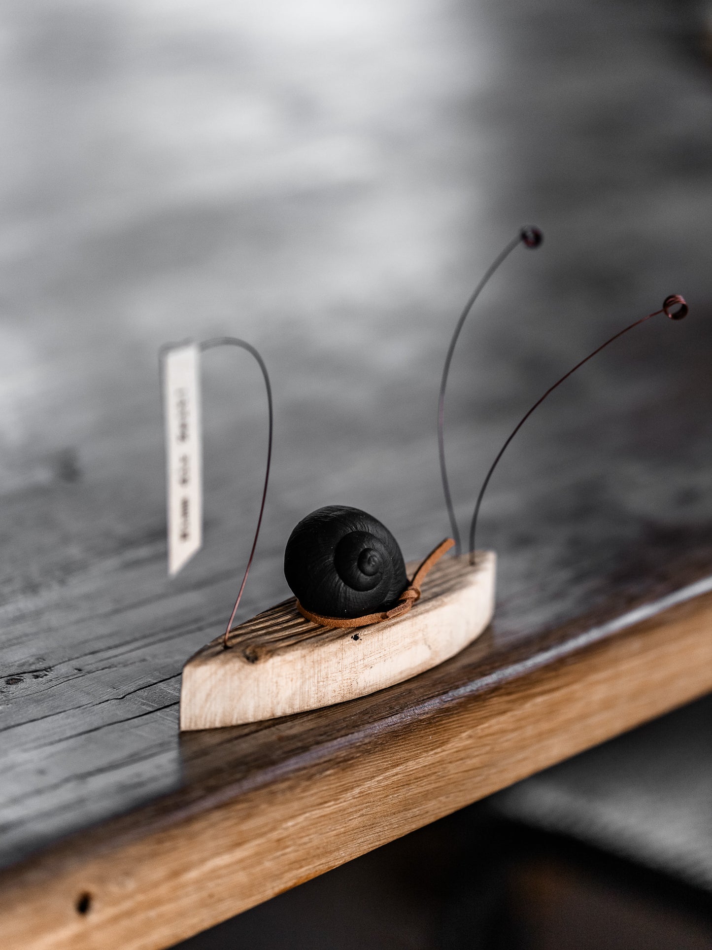 Schnecke "Nimm dir Zeit"