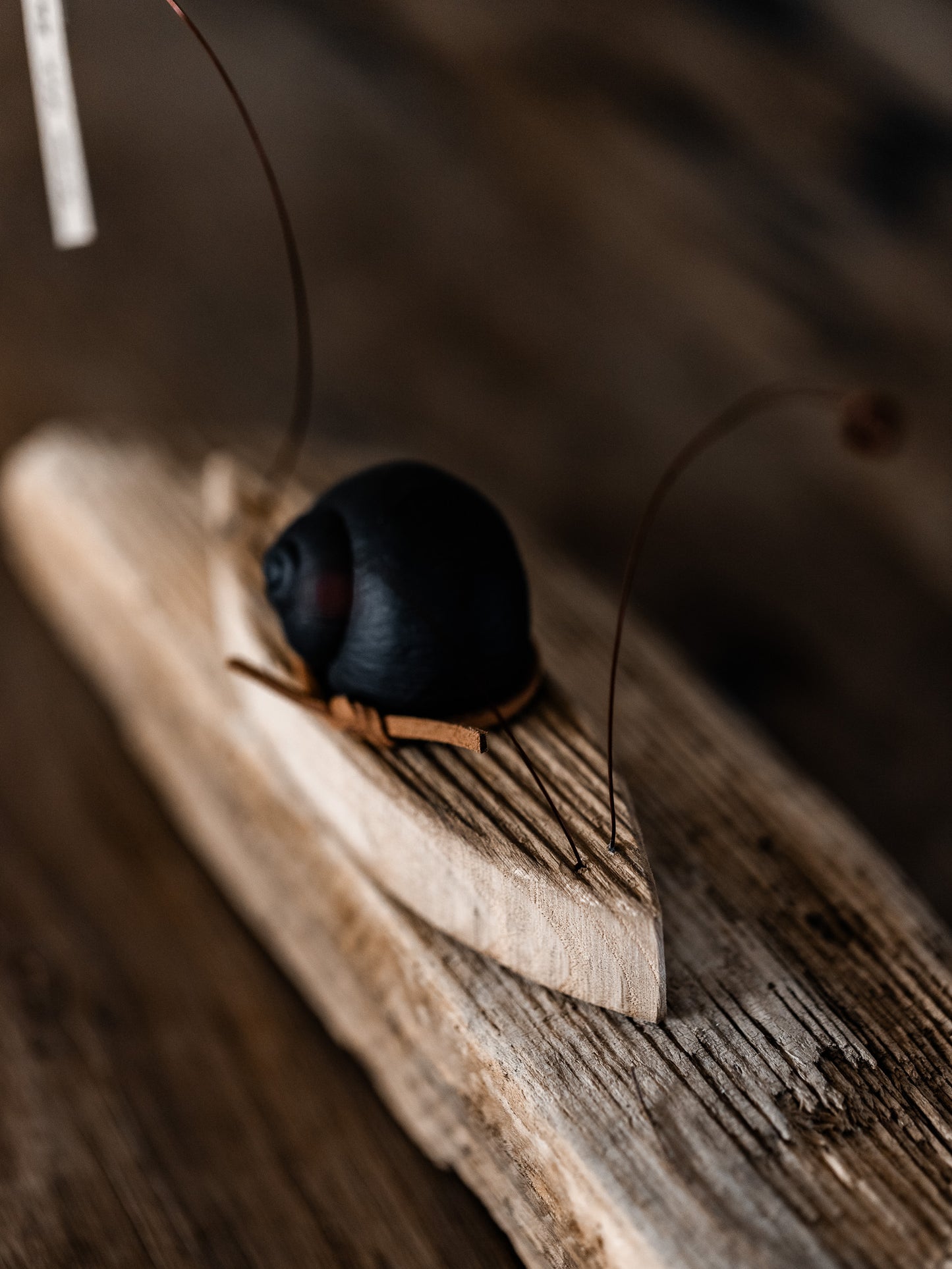Schnecke "Nimm dir Zeit"