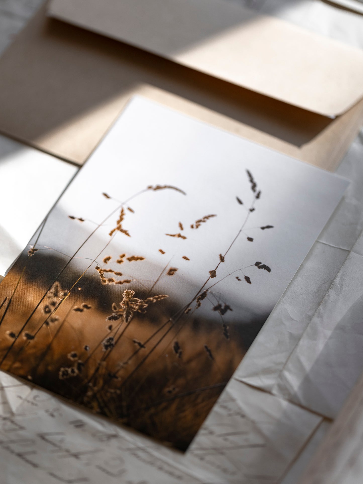 Postkarte Spätsommer Grashalme