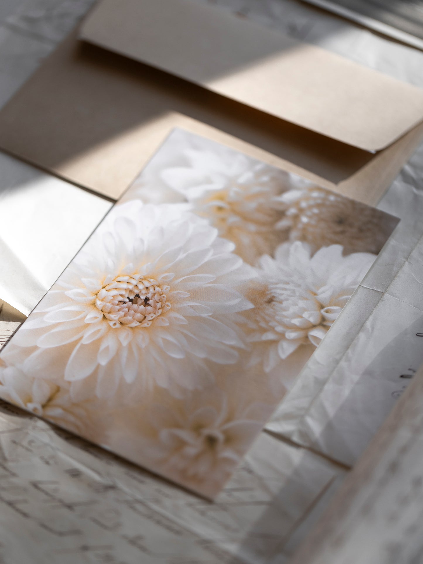 Postkarte weisse Dahlienliebe