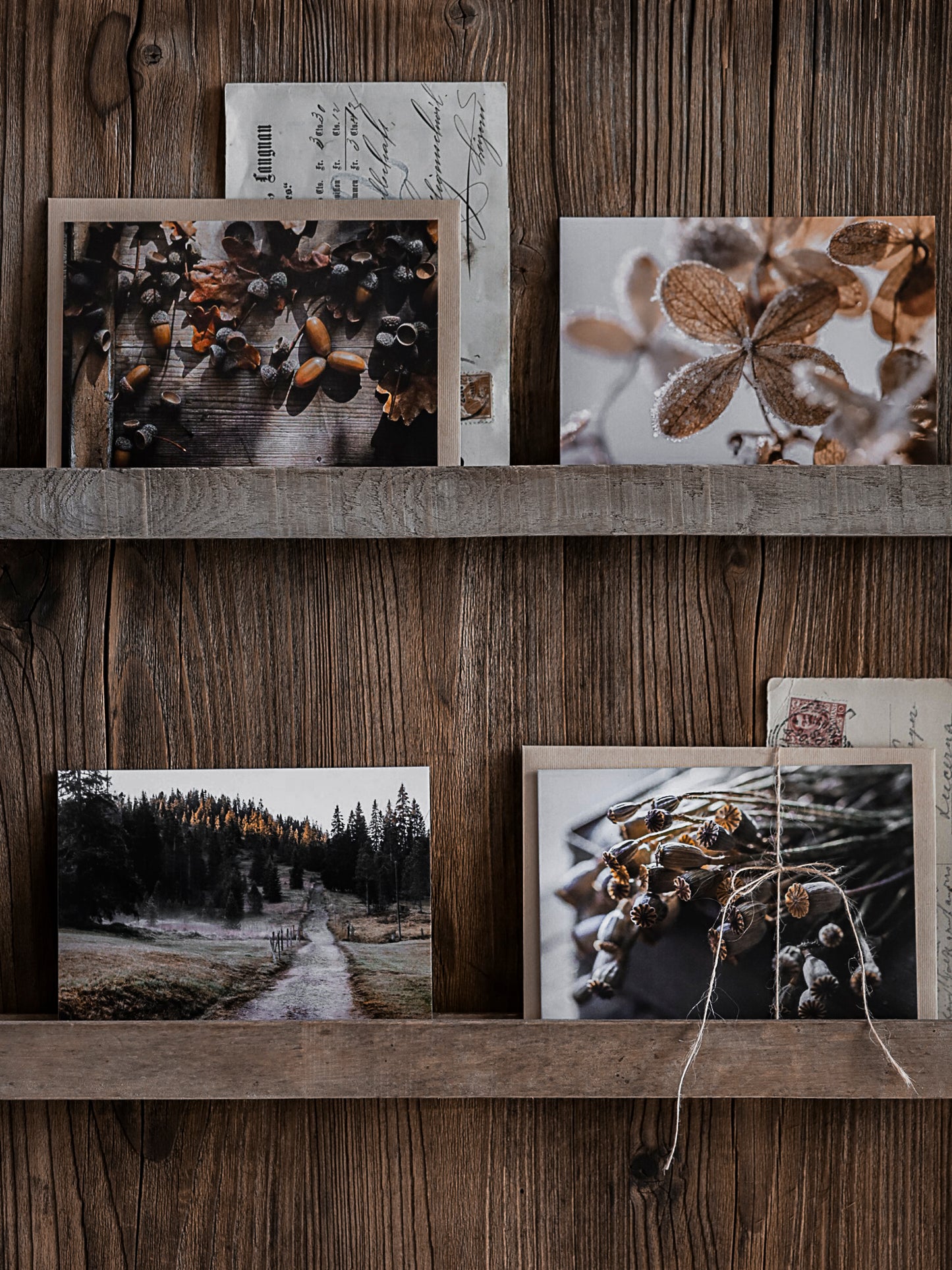 Postkarten Set Herbststille