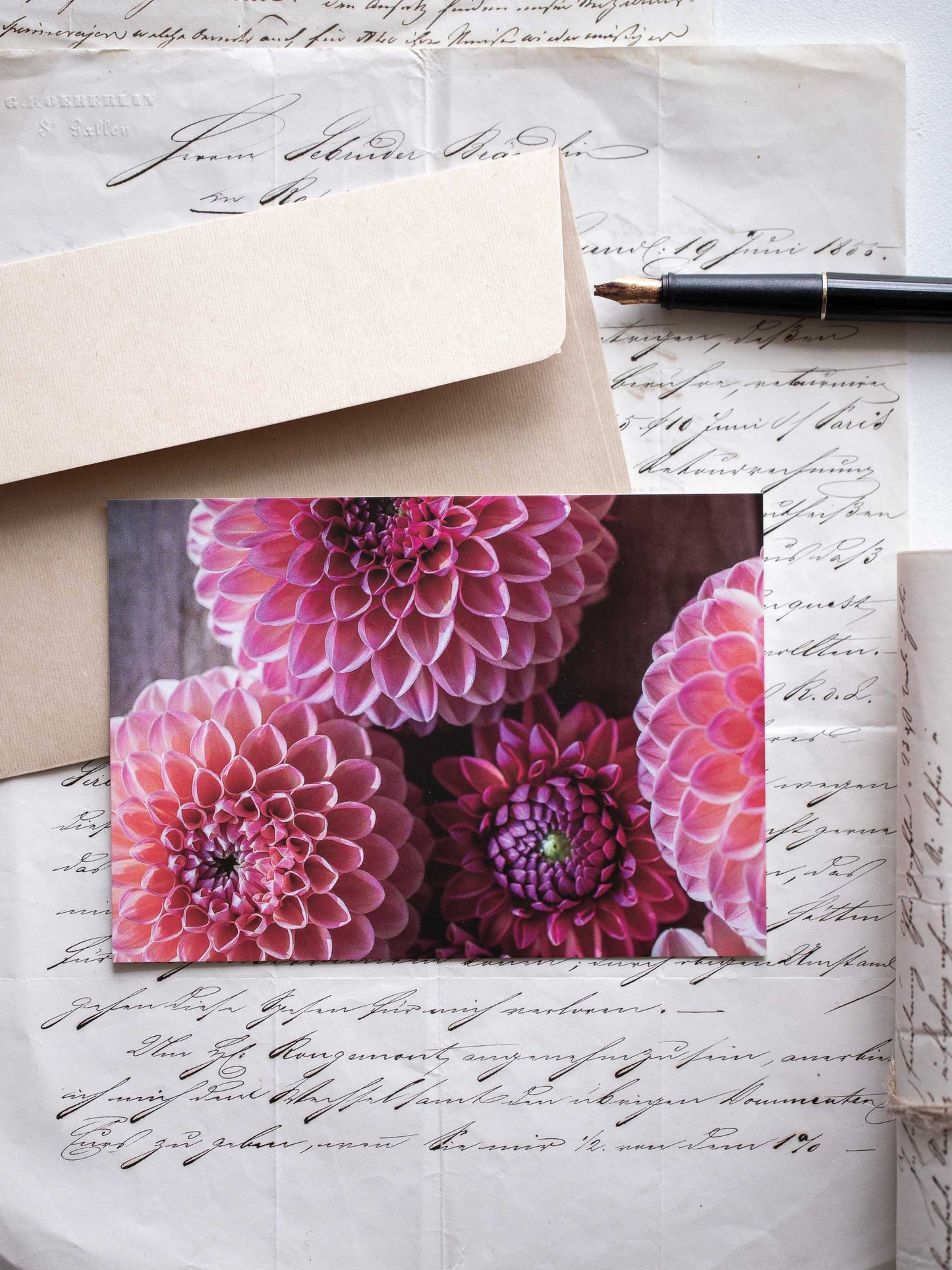 Postkarte Dahlien