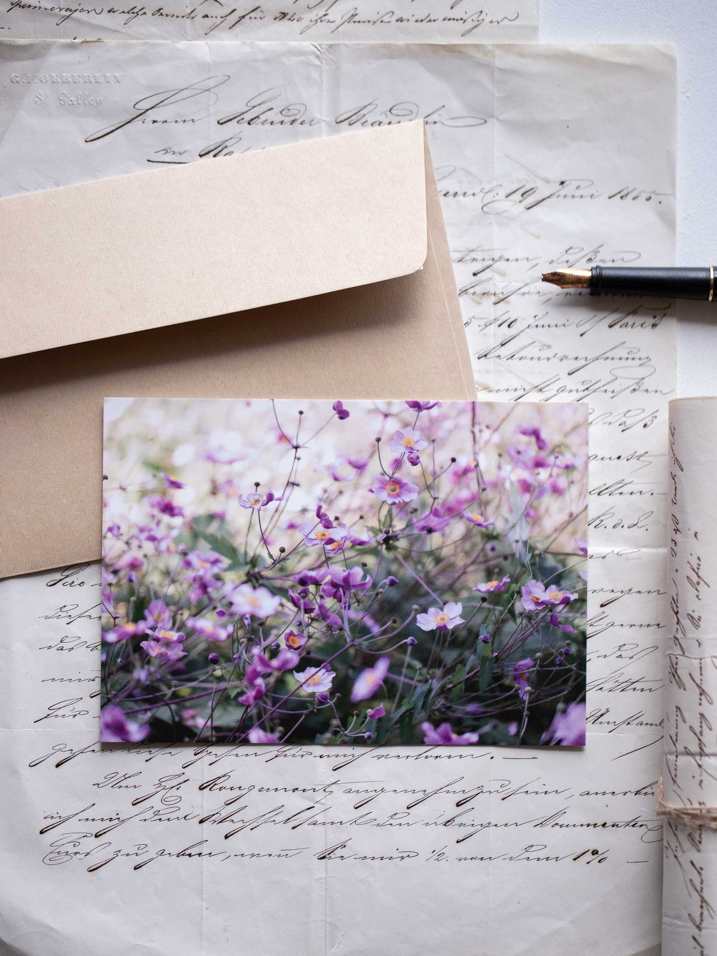 Postkarte Herbstanemone