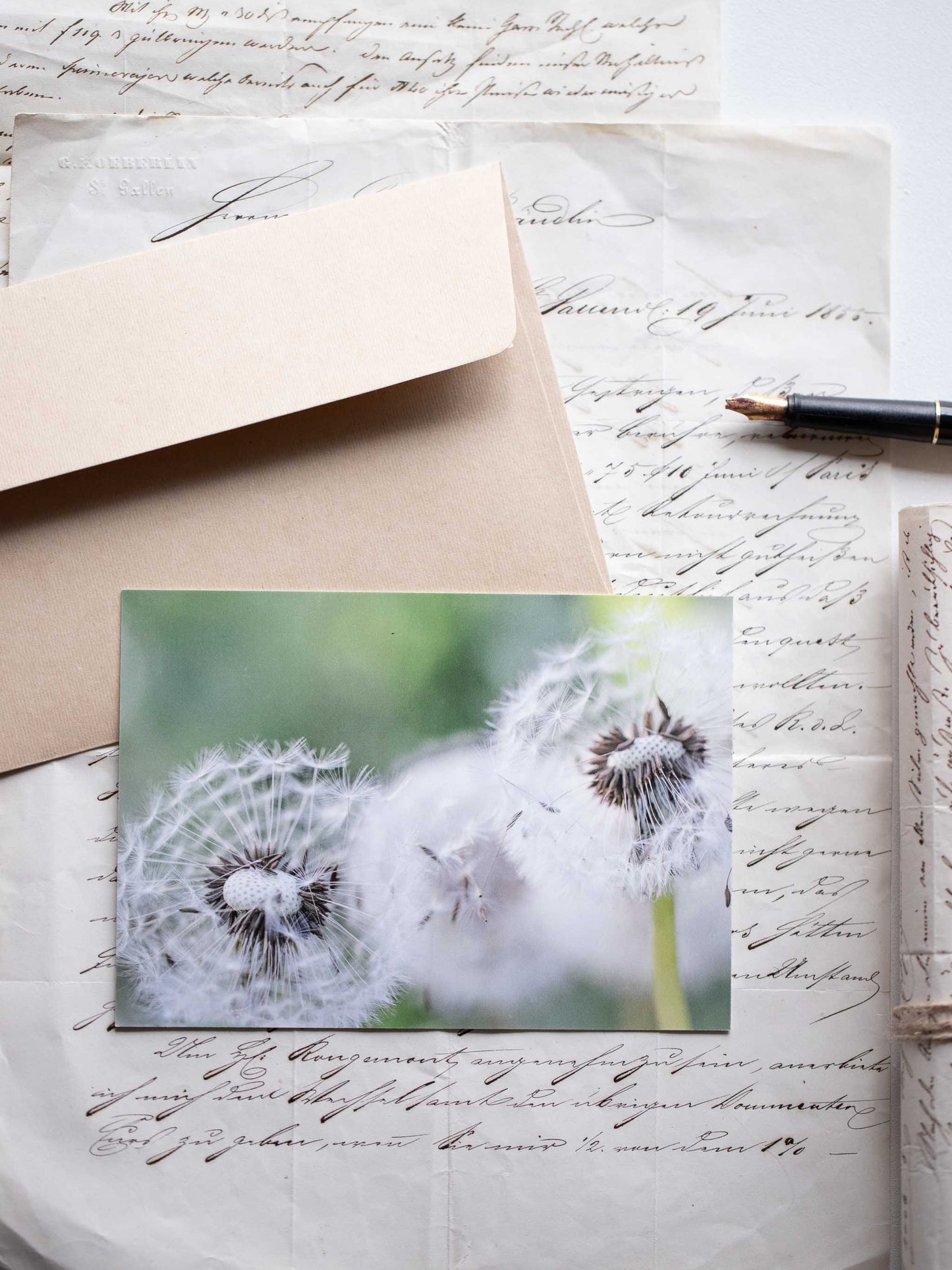 Postkarte Pusteblumen