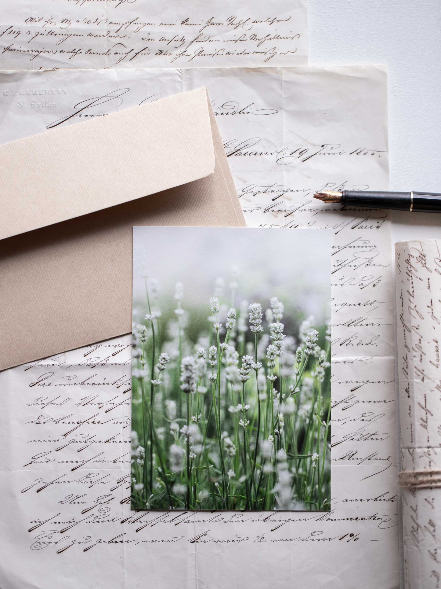 Postkarte weisser Lavendel