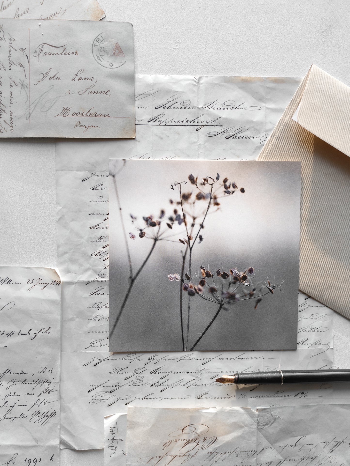 Von edler Art Winterzauber Kartenset