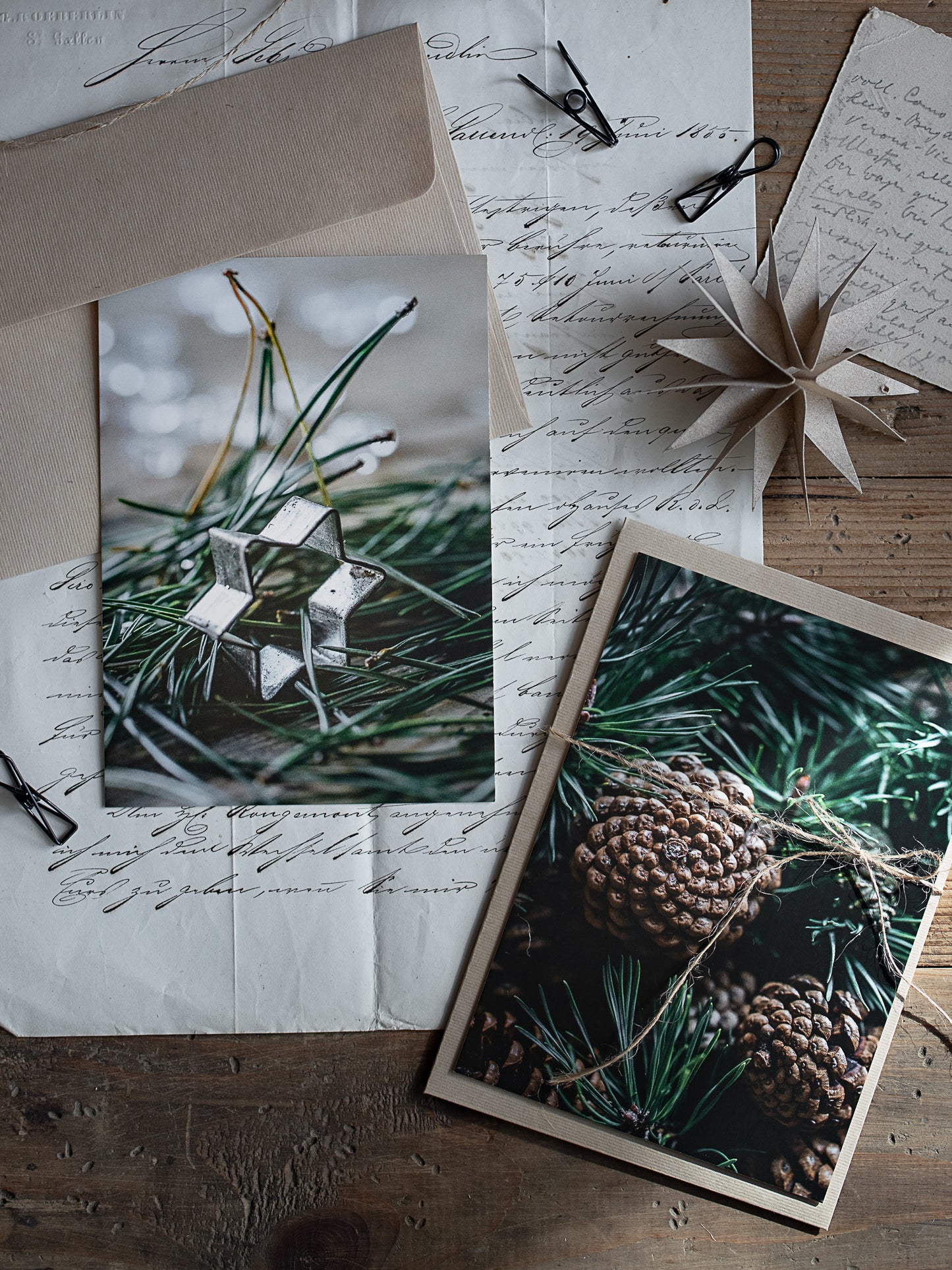 Postkarten Set Nadelgrün