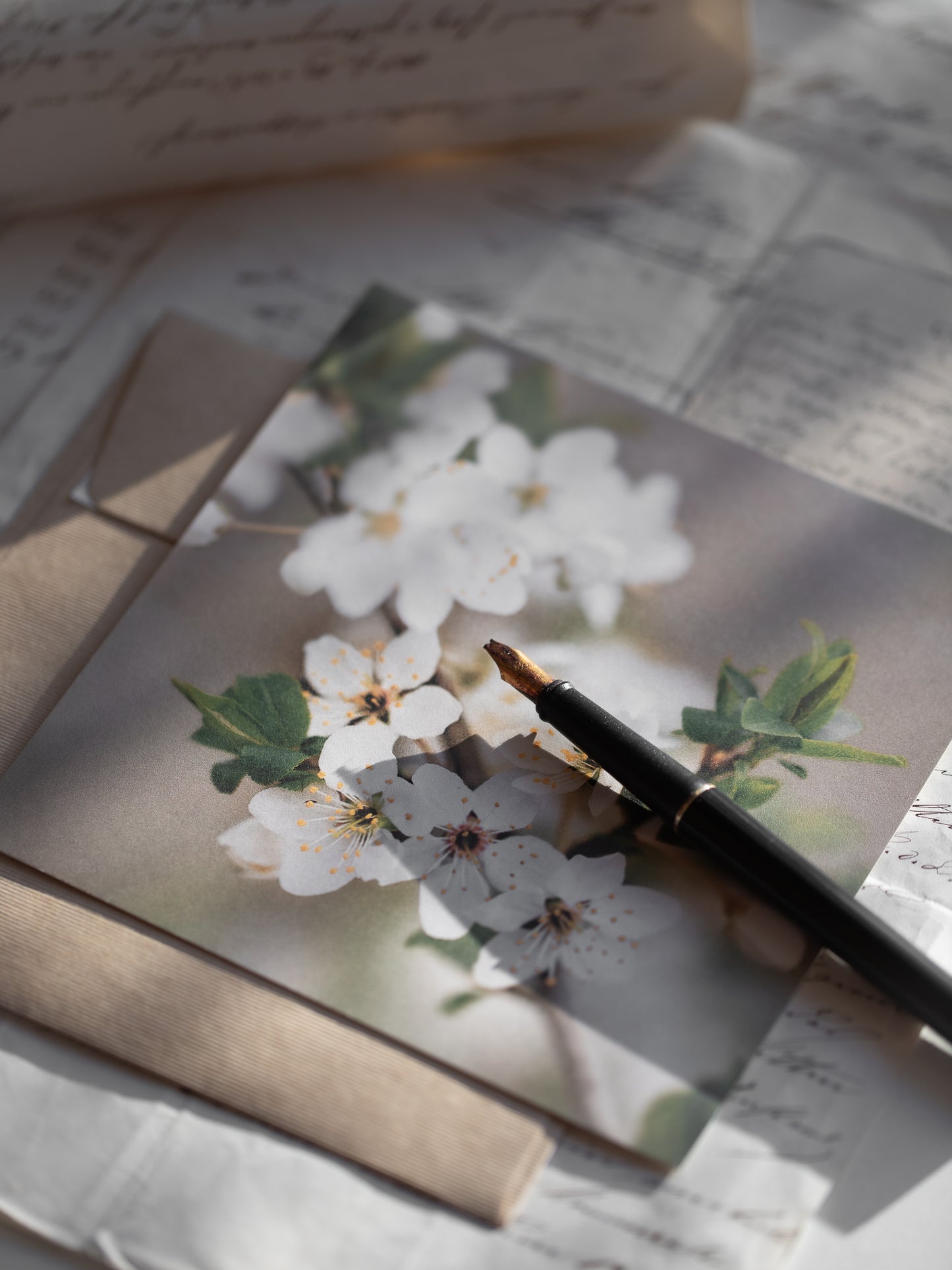 Von edler Art Prunus spinosa