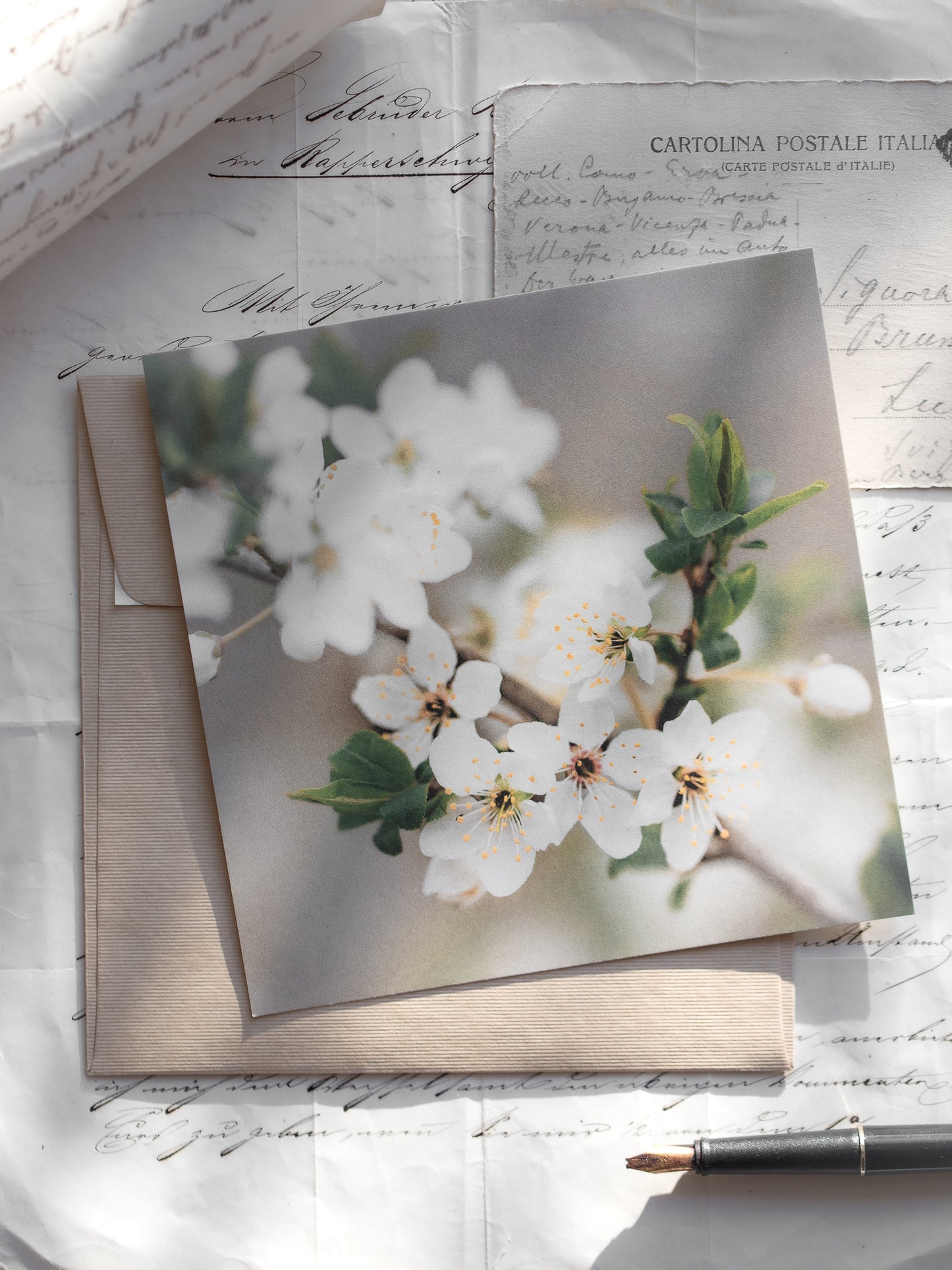 Von edler Art Prunus spinosa