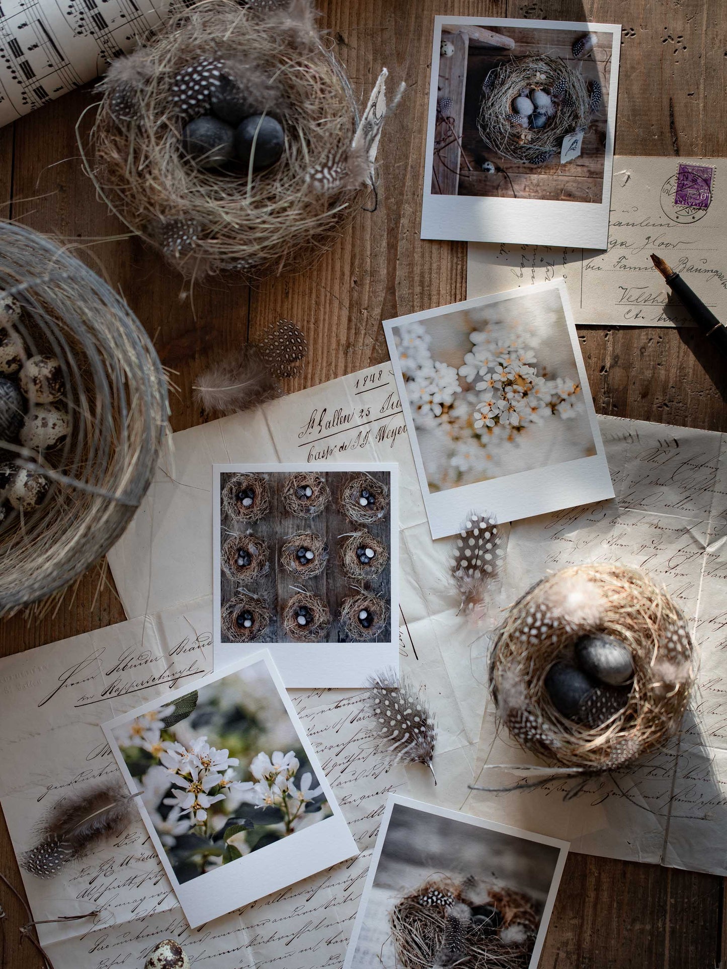 Die kleinen Feinen - Nestliebe