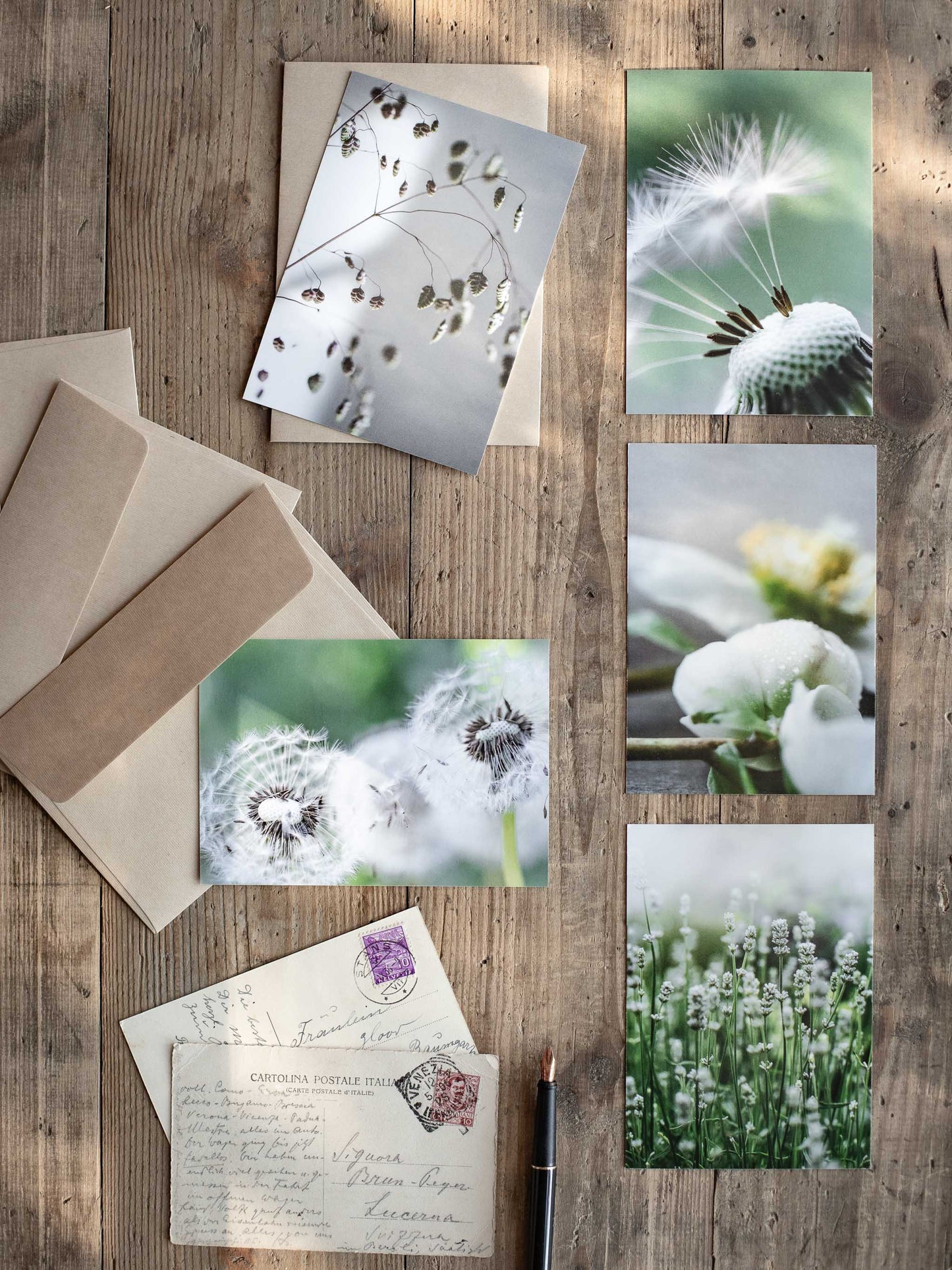 Postkarten Set Sommergrün