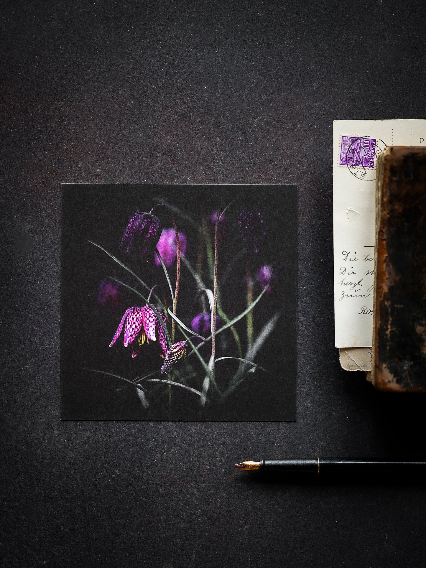 Von edler Art Schachbrettblume