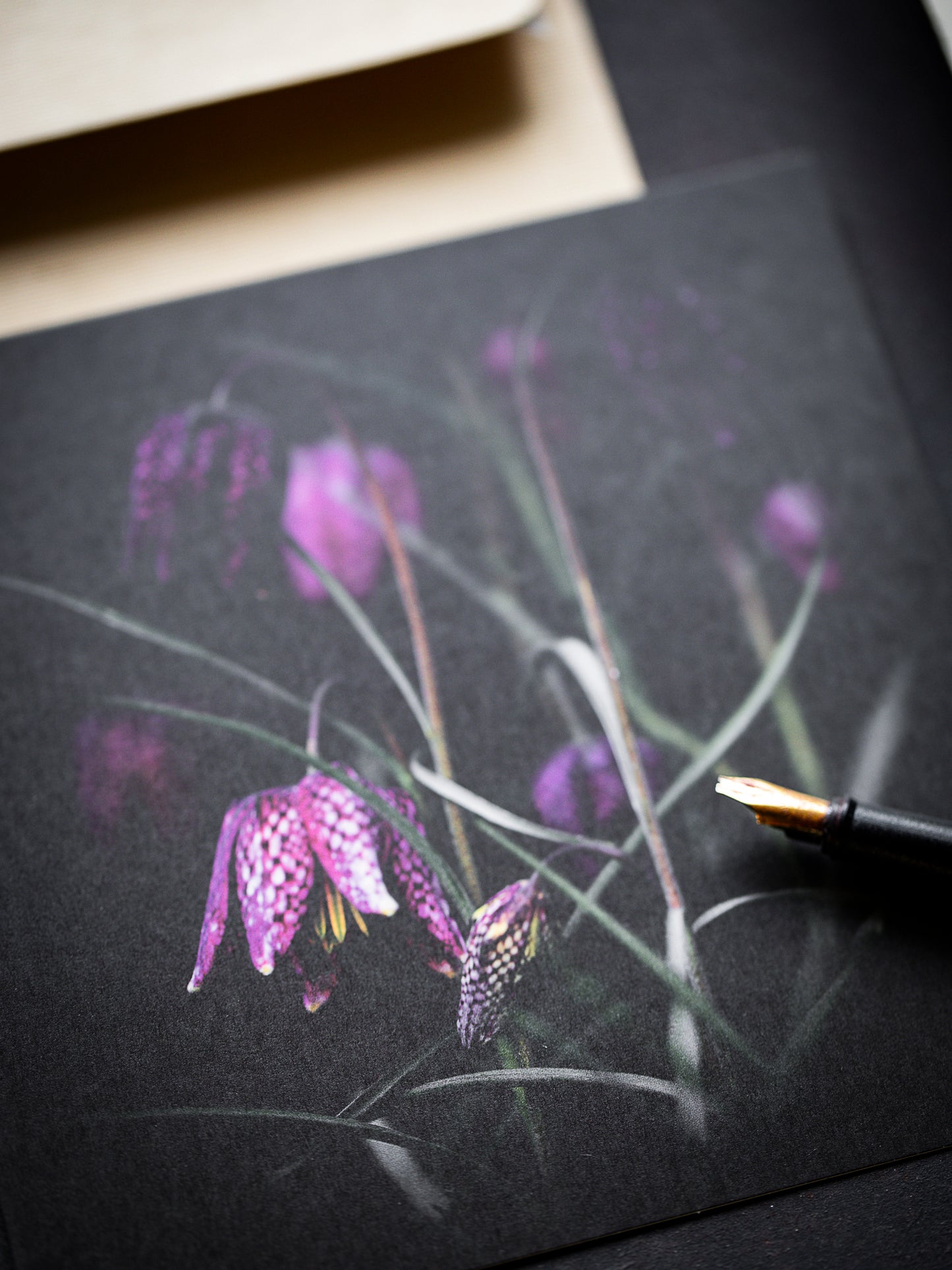 Von edler Art Schachbrettblume