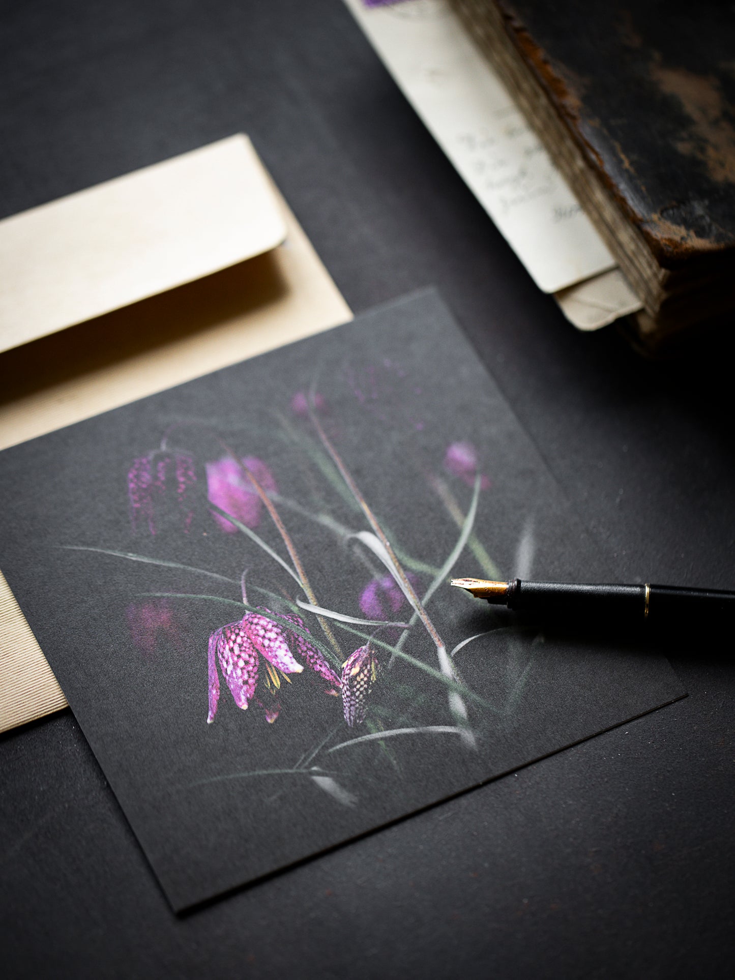 Von edler Art Schachbrettblume