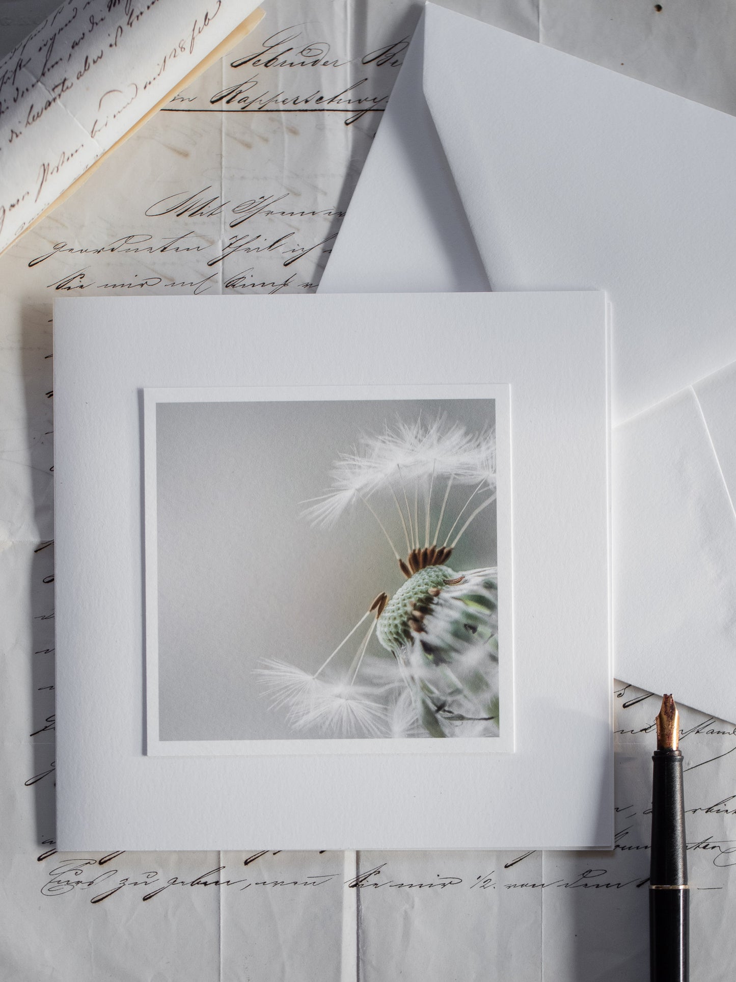 Trauerkarte Pusteblume