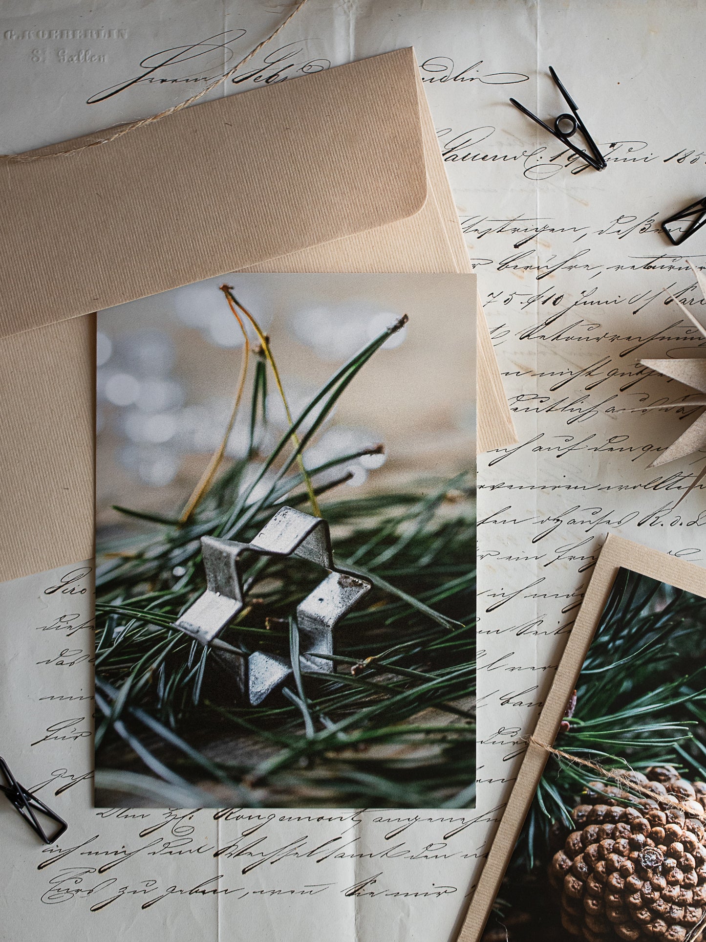 Postkarte Stern im Nadelgrün