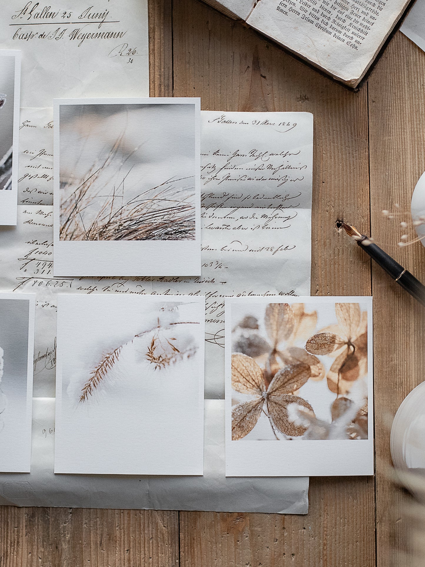 Die kleinen Feinen Winterstill