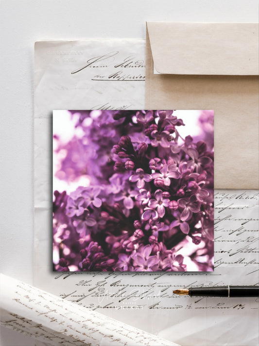 Von edler Art Fliederduft