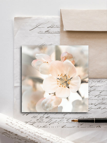 Von edler Art Apfelblüte