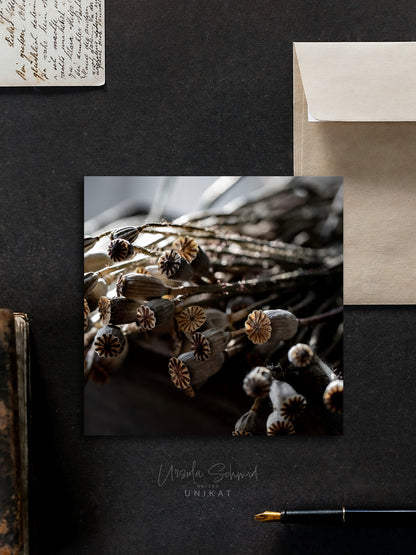 Von edler Art Mohnkapseln