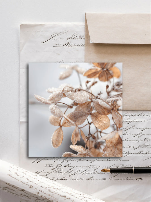 Von edler Art Hortensie