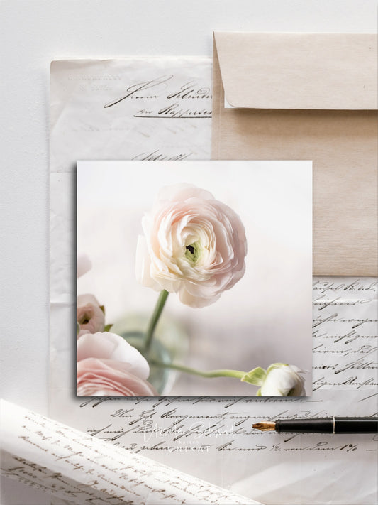 Von edler Art Ranunkelrosa