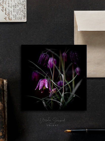 Von edler Art Schachbrettblume