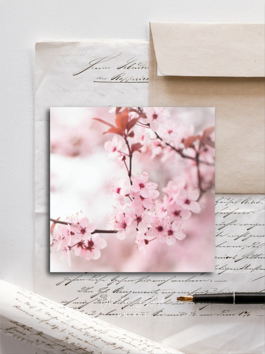 Von edler Art  Rosea