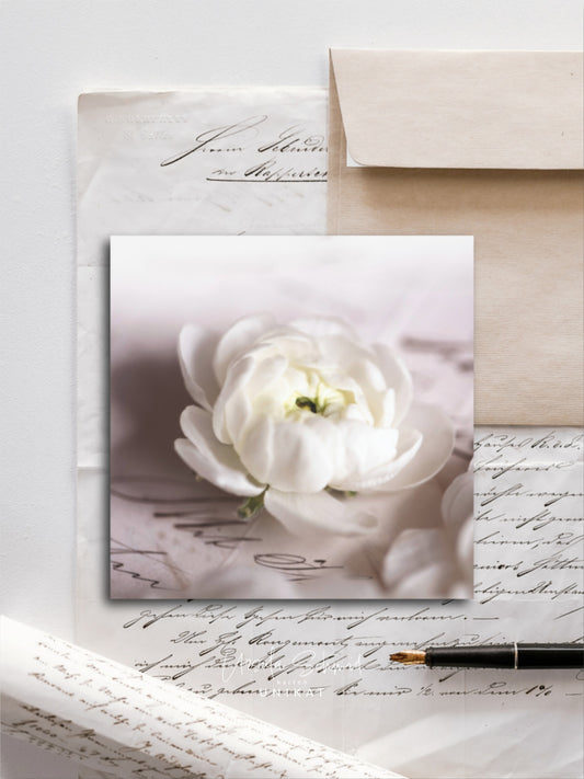 Von edler Art Ranunkelzart