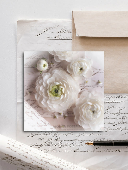 Von edler Art Ranunkelblüten