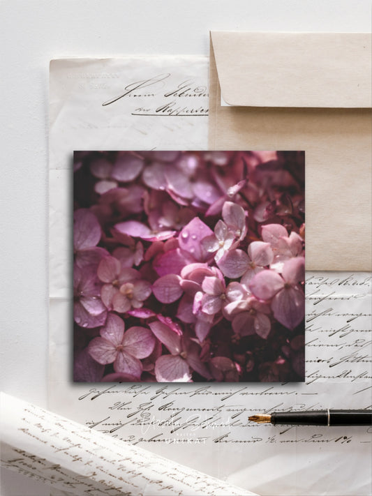 Von edler Art Hortensie