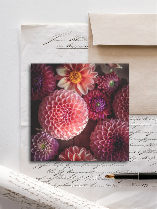 Von edler Art Dahlienblüten