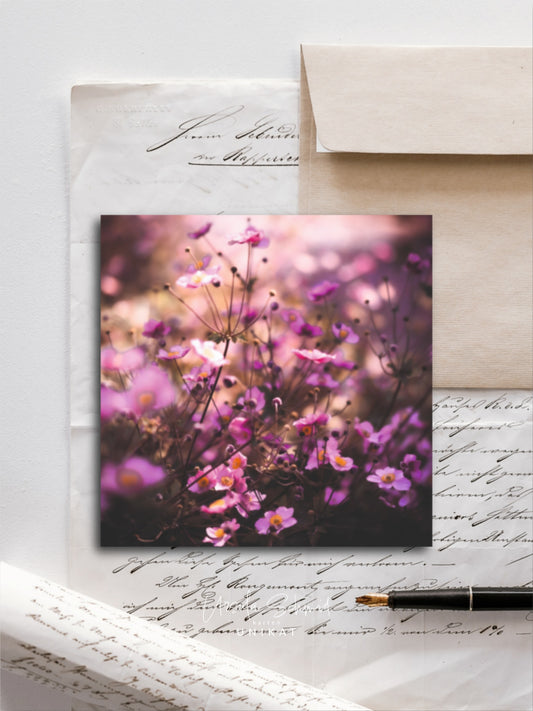 Von edler Art Anemonen