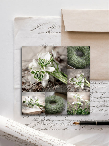 Von edler Art Schneeglöggli