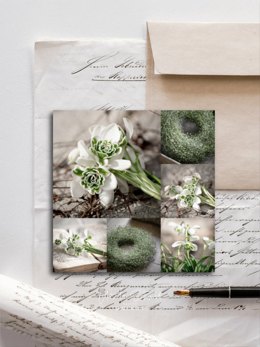 Von edler Art Schneeglöggli