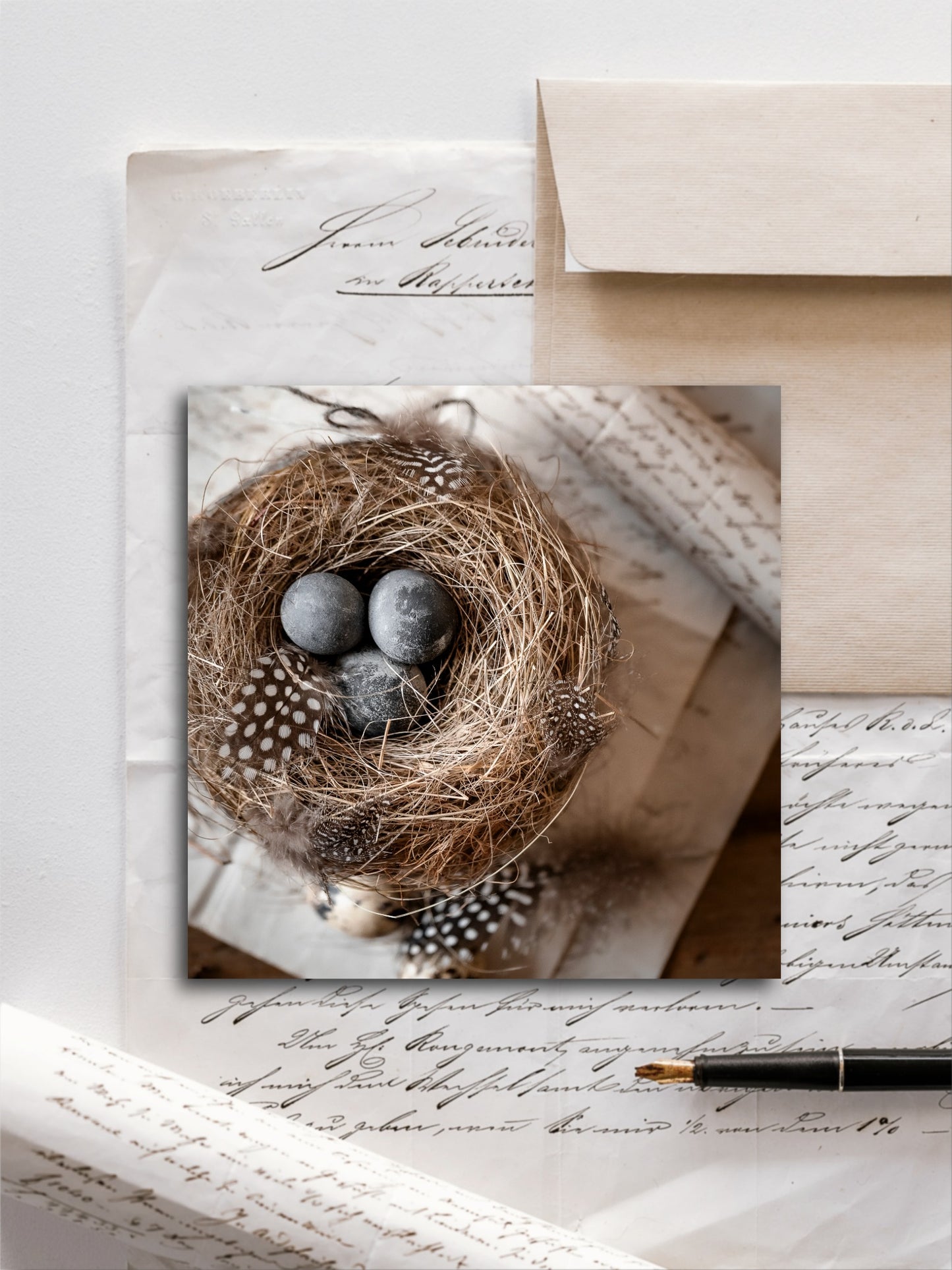 Von edler Art Vogelnestli