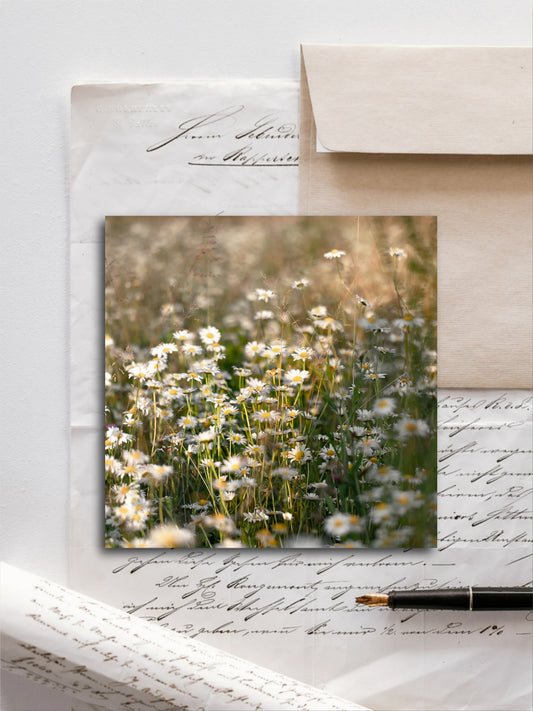 Von edler Art Margeriten