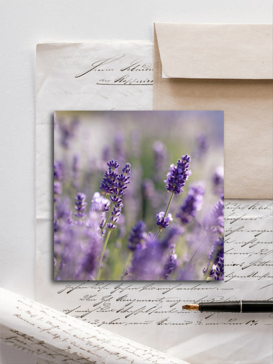 Von edler Art Lavendelduft