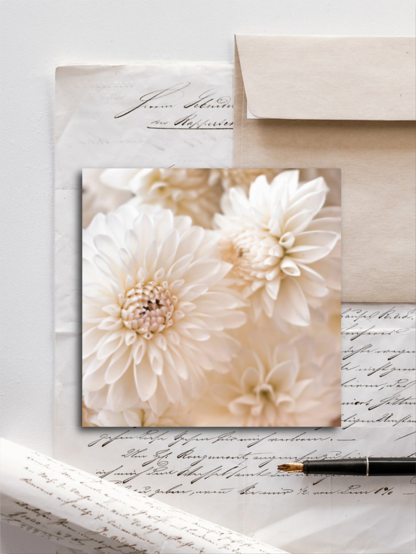 Von edler Art weisse Dahlien