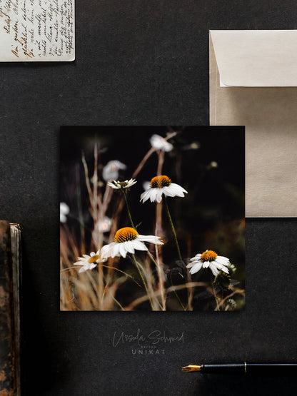 Von edler Art Echinacea