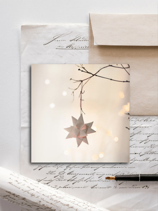 Von edler Art Weihnachtsstern