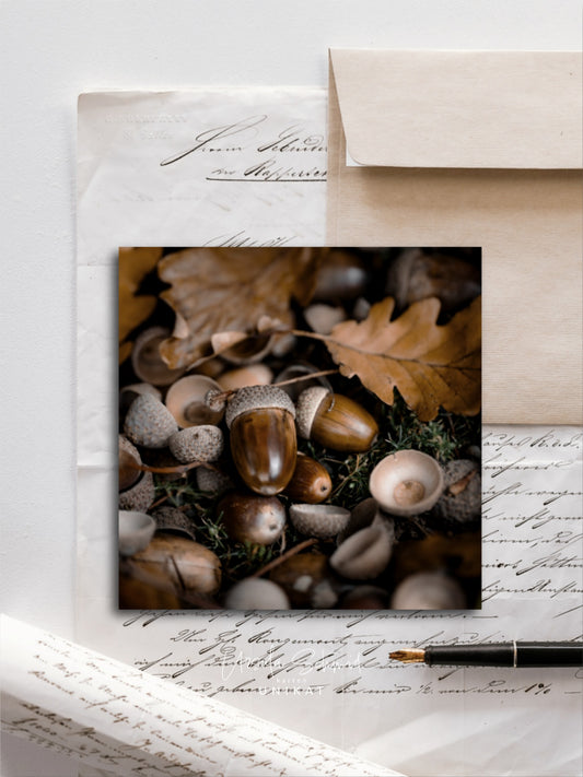 Von edler Art Waldboden