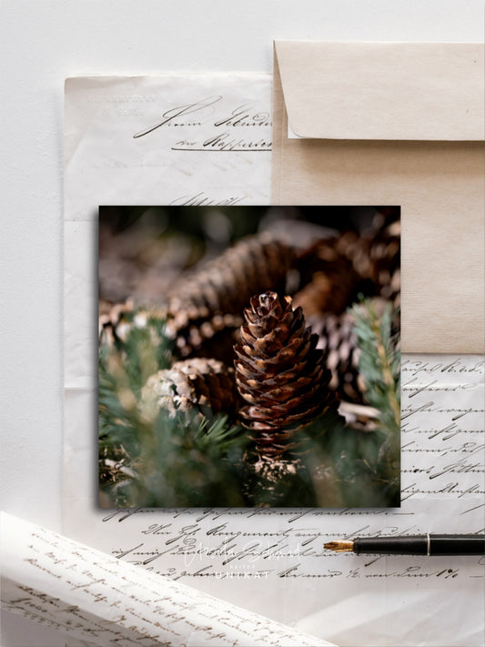 Von edler Art Fichtenzapfen