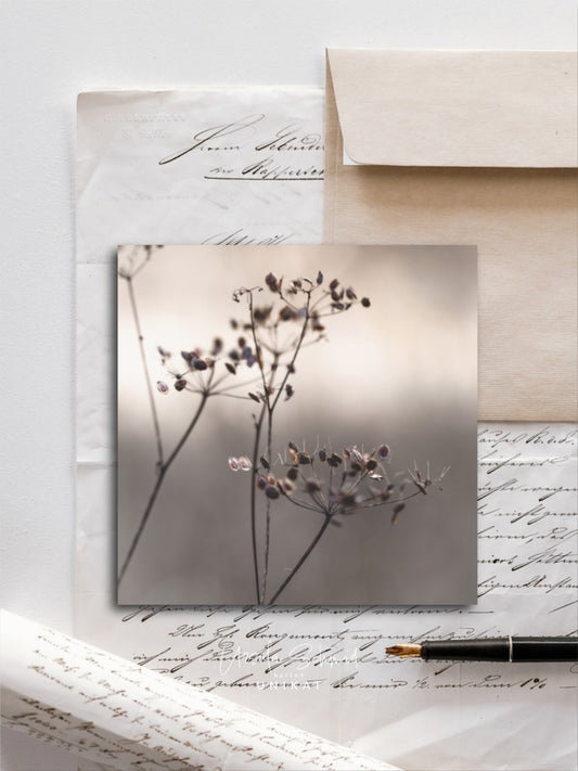 Von edler Art Wiesenkerbel